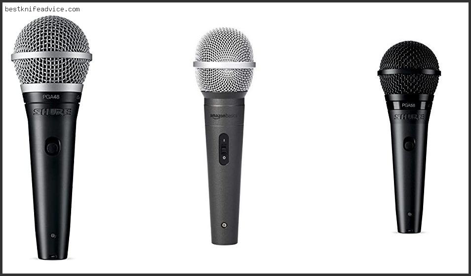 Best Vocal Microphone Under 500